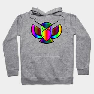 Rainbow Owl Hoodie